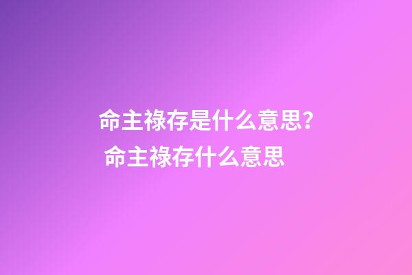 命主祿存是什么意思？ 命主祿存什么意思-第1張-觀點-玄機派